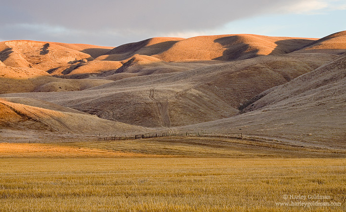California, Central Coast, foothill, golden