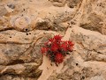 A Sandy Life print