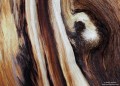 Bristlecone Pine Abstract print