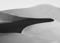 Dune Contours print