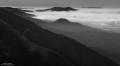 Foggy Coastline print