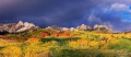 Storm Over the Dyke print