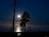 Moonset At Yellowstone Lake