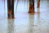Pond Reflections