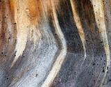 Weathered Grain