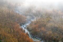 A Little Stream