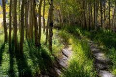 A Road Less Traveled