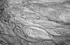 Alluvial Lines