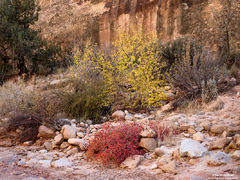 Autumn Palette