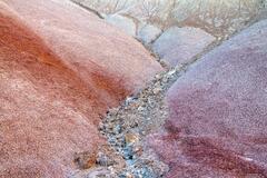Bentonite Colors