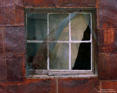 Bodie Window 2