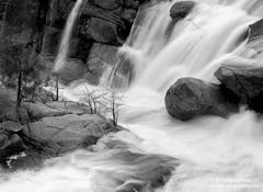Cascade Creek in Spring