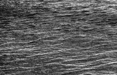 Churning Ocean Abstract