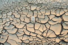 Crack Patterns