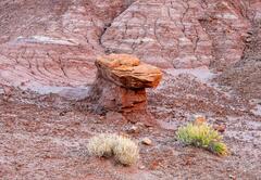 Croc Rock