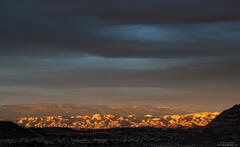 Dawn Light