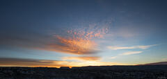 Desert Dawn