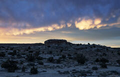 Desert Lights