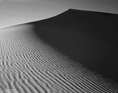 Dune 2