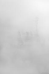 Fog White Out