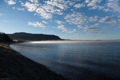 Foggy Cove