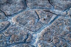 Fracture Patterns