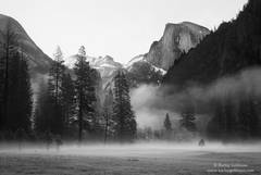 Early Morning Fog in Leidig Meadow
