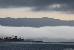 Santa Barbara Harbor in the Fog