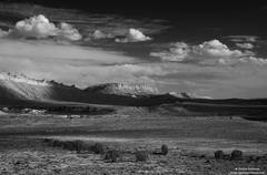 High Desert Drifters
