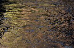 Intense Reflections