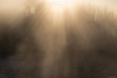 Light Beams On The Yellowstone
