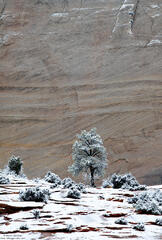 Light Dusting
