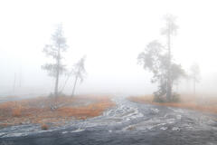 Limited Visibility
