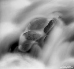 Lost in the Flow