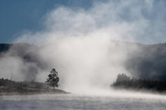 Madison River Mist