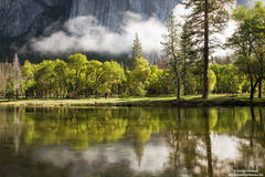 Merced River Reflections