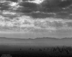 Mono Basin