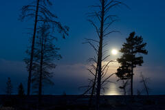 Moon Over Yellowstone Lake