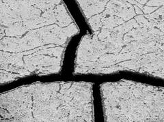 Mud Crack Abstract