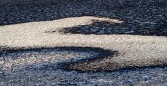 Mud Crack Patterns