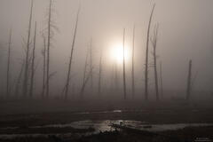 Obscured Sun