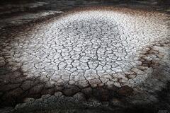 Parched Earth