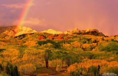 Rainbow on the Dyke