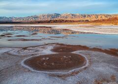 Salt Flats