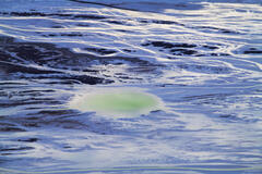 Salt Pond Abstract