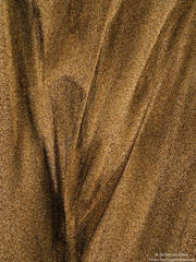 Sand Abstract #1