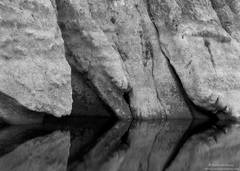 Santa Ynez River Reflections