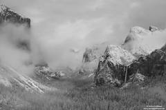 Shrouded Yosemite Valley