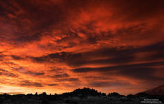 Silhouetted Dawn