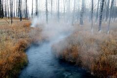 Steam Rising